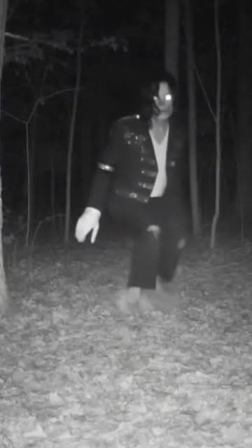 😳 MJ just walked out the forest… and it feels like THRILLER all over again. 🎃

The King of Pop is back — spooky season style 👻🕺

All created using AI tools from The AI Playbook. ⚡🤖

🎯 Want to learn how to make viral, movie-style AI videos like this for Halloween?

👉 Tap the link in bio or comment “AI” and I’ll send you the info 💻

#AIPlaybook #MichaelJackson #ThrillerSeason #HalloweenReel #AIVideos #ViralContent #digitalcreator #MJForever #halloween