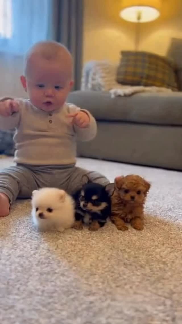 Little puppy rolls 🐶👶 #fypシ゚viralシfypシ゚  #caspaai #funnyaivideo #FunnyPetReel #funnyreelsvideo #aivideos #funnymoments #catsofinstagram #babyreels #PetsofFacebook