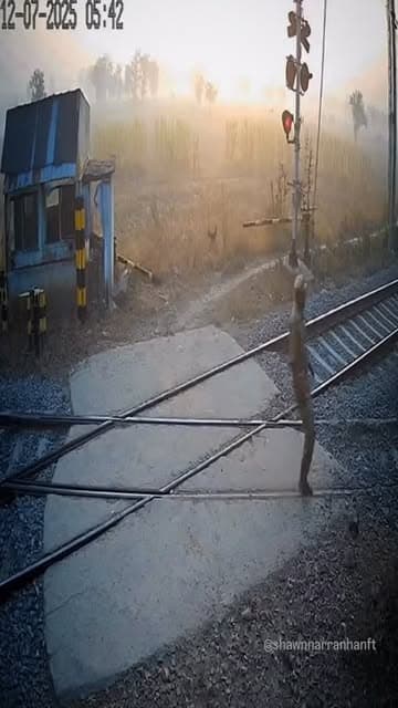 This unbelievable CCTV footage captures a woman walking directly across the tracks at a closed railway crossing... seconds before a speeding train barrels through. 🚂💨In a heart-stopping moment this morning, a woman was walking across the tracks at a level crossing, seemingly unaware of the approaching train until it was too late.

👮 Thankfully, a quick-thinking railway personnel saw the danger and sprinted to her rescue! He pulled her off the tracks with literally a second to spare as the train 