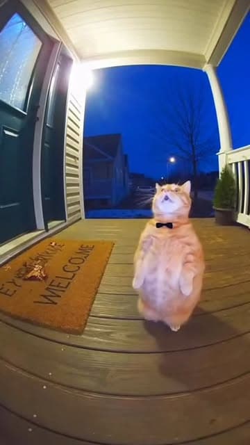 Wow 🤩 #fyp #sora #sora2 #openai #ai