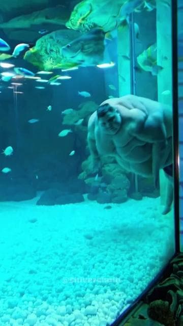 sup, manatee? #monster #creature #edit #manatee #surreal #ai #aiart #weird