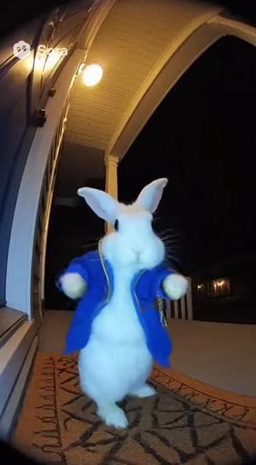 All roads lead to Rome… 🐇⏱️ #aivideos #sora #ringdoorbell #whiterabbit #meme 