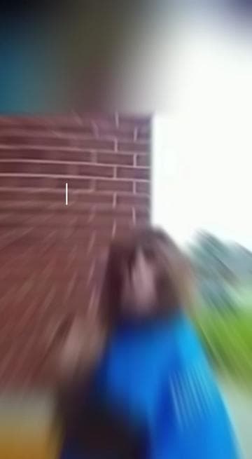 AI Monke is best Monke🙏🐒#viral #fyp #top5 #topfive #sora #soraai #ai #funnymoments #monkey