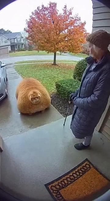 6 7 #sora #soraai #sora2 #aivideos 