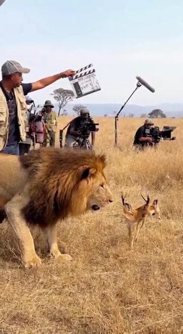 Mufasa Lion Behind The Scene #ai #behindthescenes #aivideo #sora #fyp 