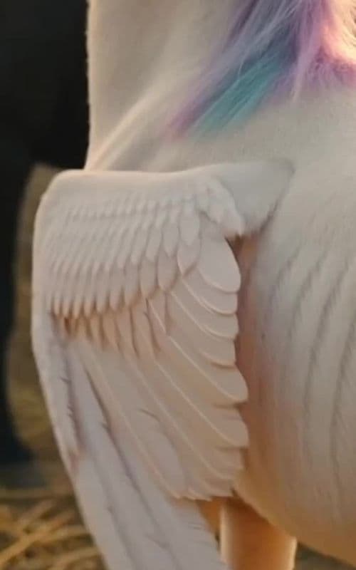 #islamic_video #viraltrend #trending #islamic_video #islamic_video 