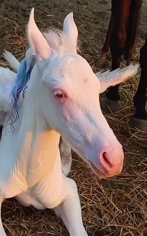 #trending #islamic_video #viraltrend #islamic_video 