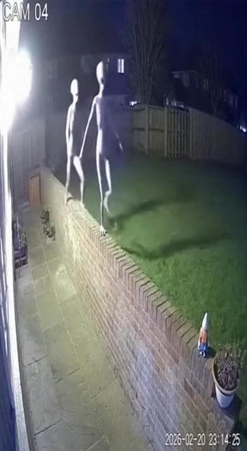 💀💀 #ai #explorepage✨ #sora #holloween #dog 