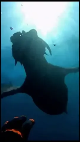 A beautiful sea dragon is spotted by a lucky diver. Do you wish dragons were real? Fiction. Entertainment only. #aivideo #fantasy #dragon #underwater #mythicalcreature 