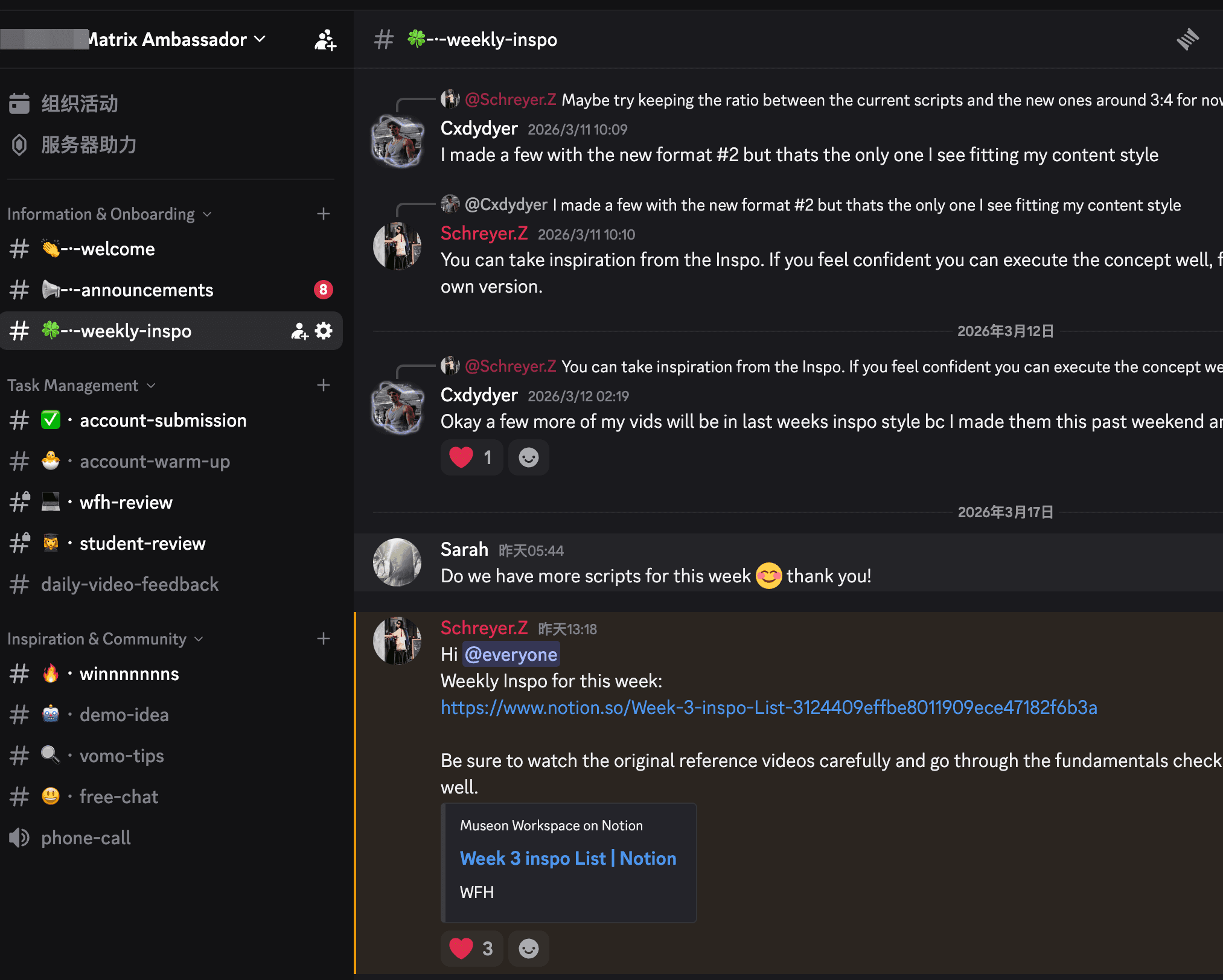 Weekly creative iteration & video review